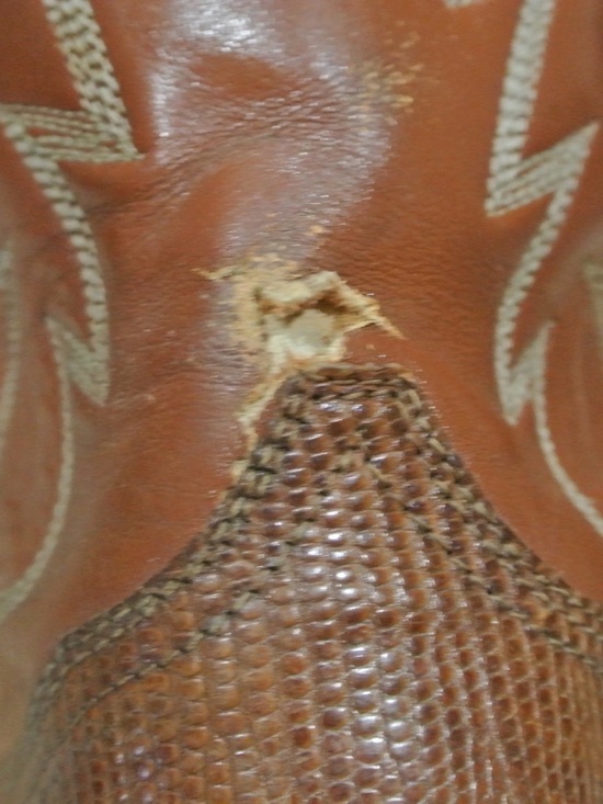 MENS TONY LAMA CROCODILE BROWN BOOTS main image 5